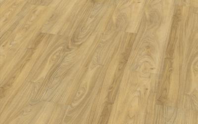 Golden Canadian Oak