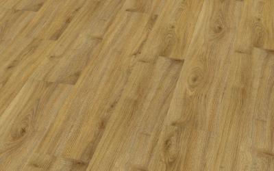 Indian Oak