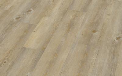 Toscany Pine
