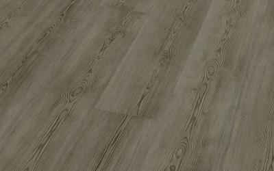 Scandic Grey