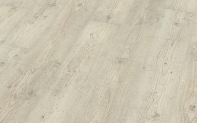 Denali Pine